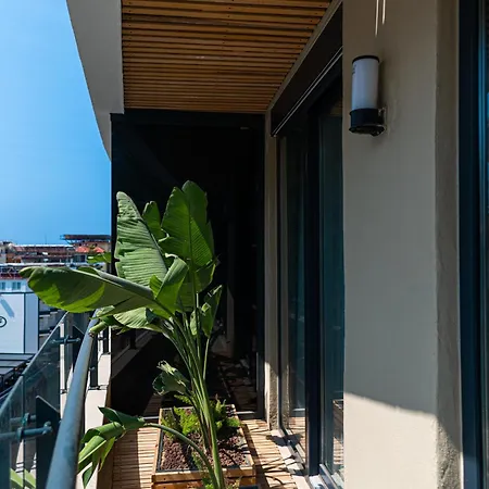 公寓 Sa Apartments! Cleopatra Sea View Flat , 150m To The