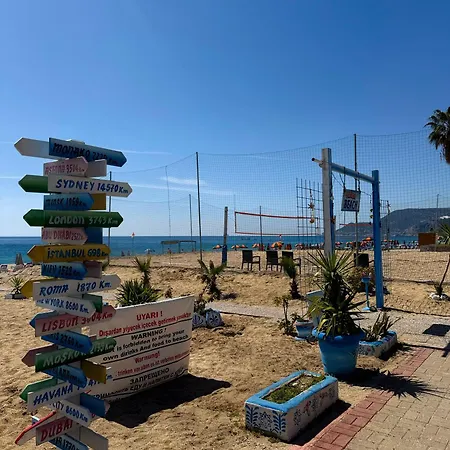 Sa Apartments! Cleopatra Sea View Flat , 150m To The 公寓 *